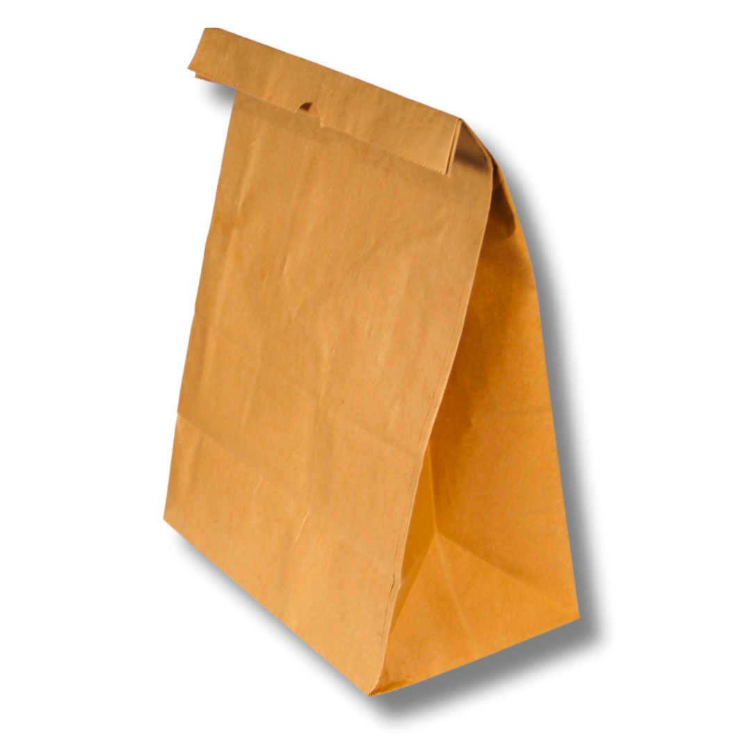 #20 Brown Kraft Bag – 70 GSM, 16.13 x 8.25 x 5.31 (125 Count)