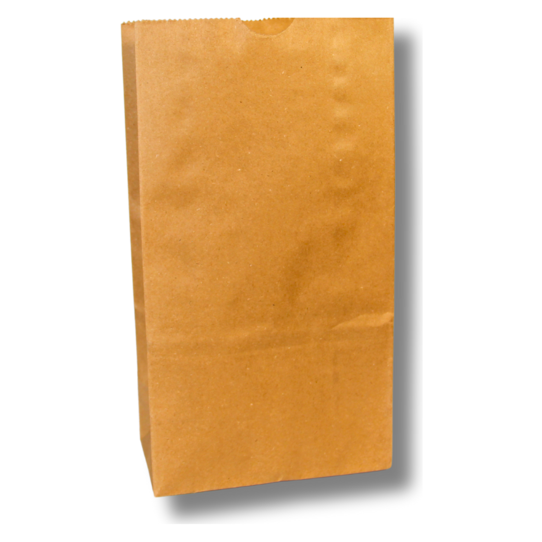 #4 Brown Kraft Bag – 70 GSM, 5.00 x 3.13 x 9.75 (200 Count)